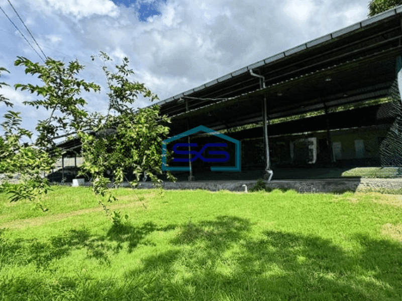 Dijual Tanah Luas 2000 m² SHM di Buleleng Bali