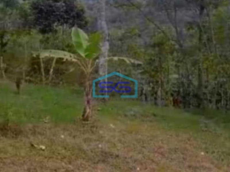 Dijual Tanah Super Strategis Pekarangan Bandungan Semarang Luas 20000m2