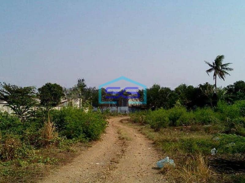 Disewakan Pabrik Dengan Luas Tanah 1100m2 di Jalan Raya Kosambi Timur Dadap Tangerang