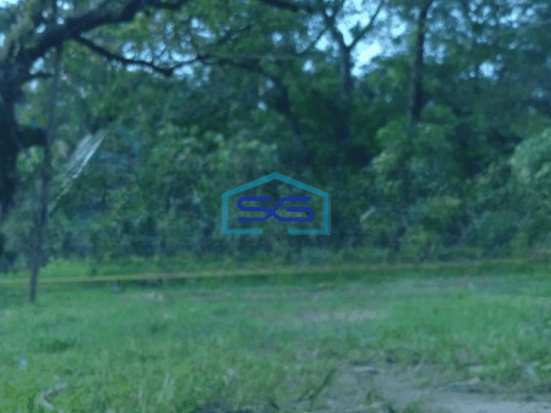 Dijual Tanah Luas 55000 m² Lokasi Strategis di Gunung Putri Bogor