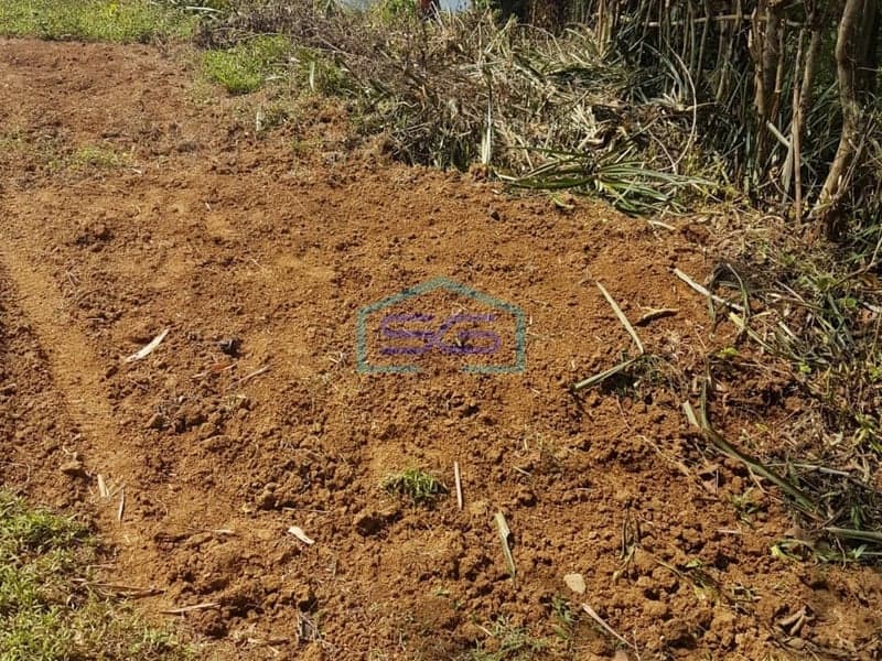 TANAH DIJUAL DI JONGGOL