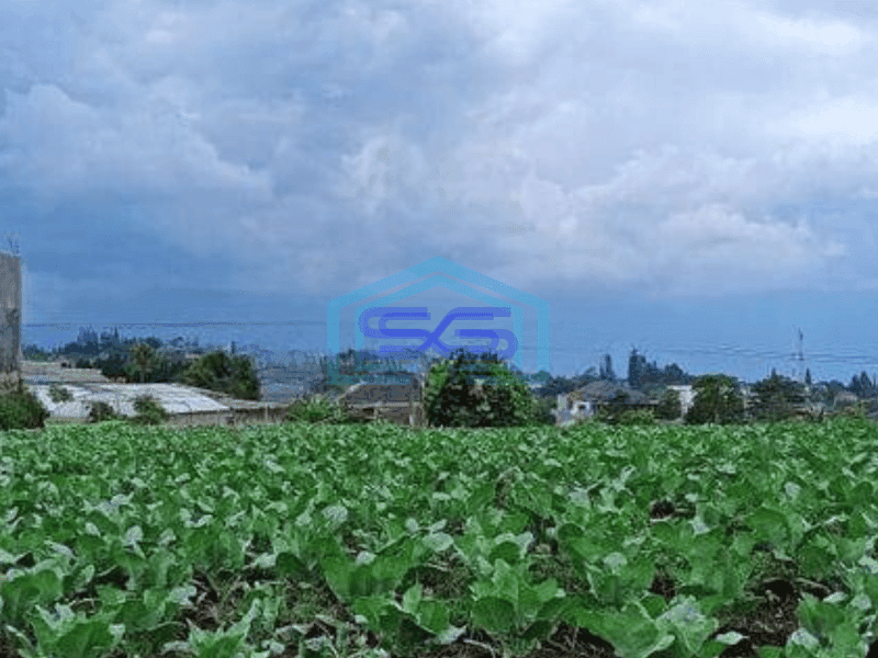 Dijual  Kavling Lokasi Strategis View Gunung di Setiabudi Regency Bandung