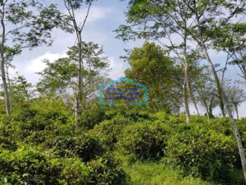 Dijual Tanah Luas 260000 m² Lokasi Cianjur Jawa Barat