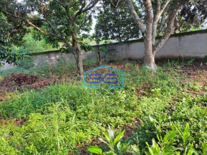 Dijual Tanah di Area Ciampea Bogor Lokasi Strategis Pinggir Jalan SHM