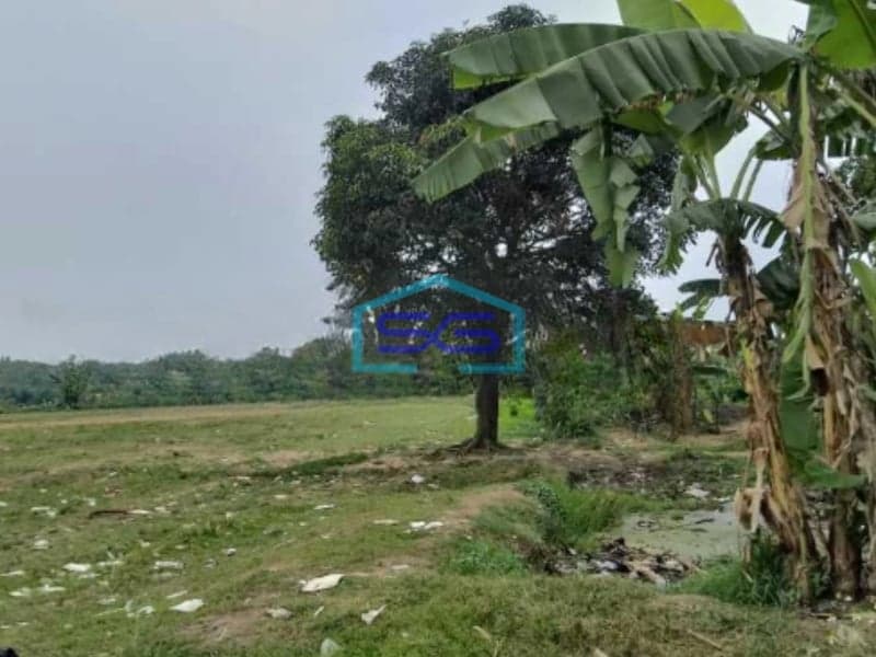 Dijual Tanah Luas 100000 m² Lokasi di Serang Banten