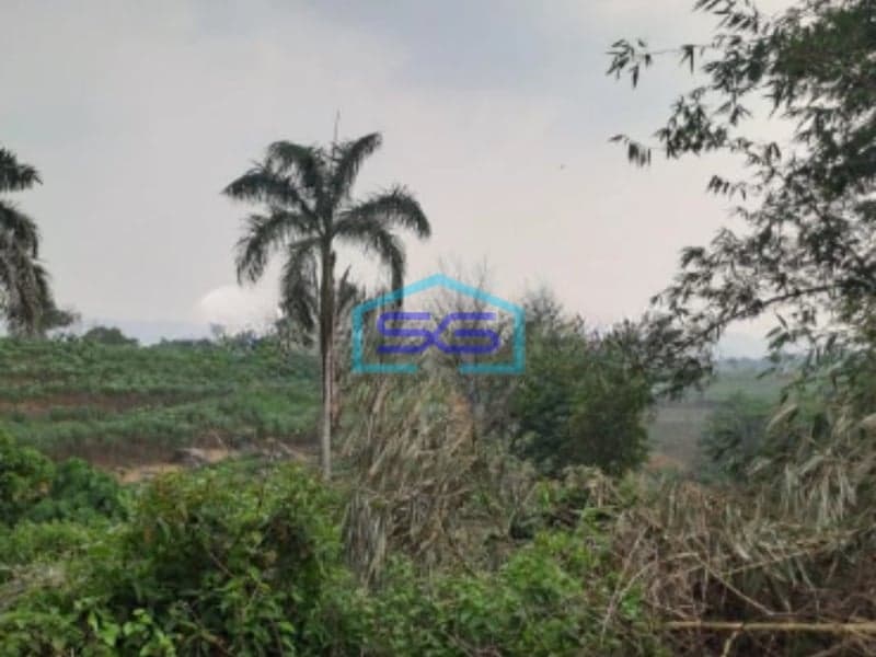 Dijual Tanah di Daerah Ciseeng Bogor Luas Tanah 5000m2