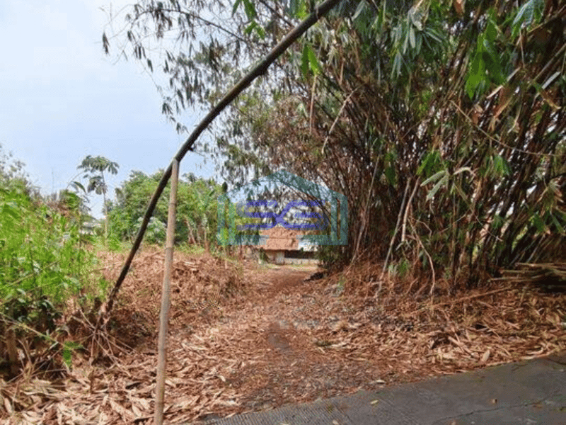 Dijual Tanah Untuk Gudang di Perbatasan Curug Dan Legok