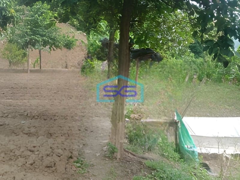 Disewakan Tanah Luas Tanah 1600m2 SHM di Citeureup Bogor