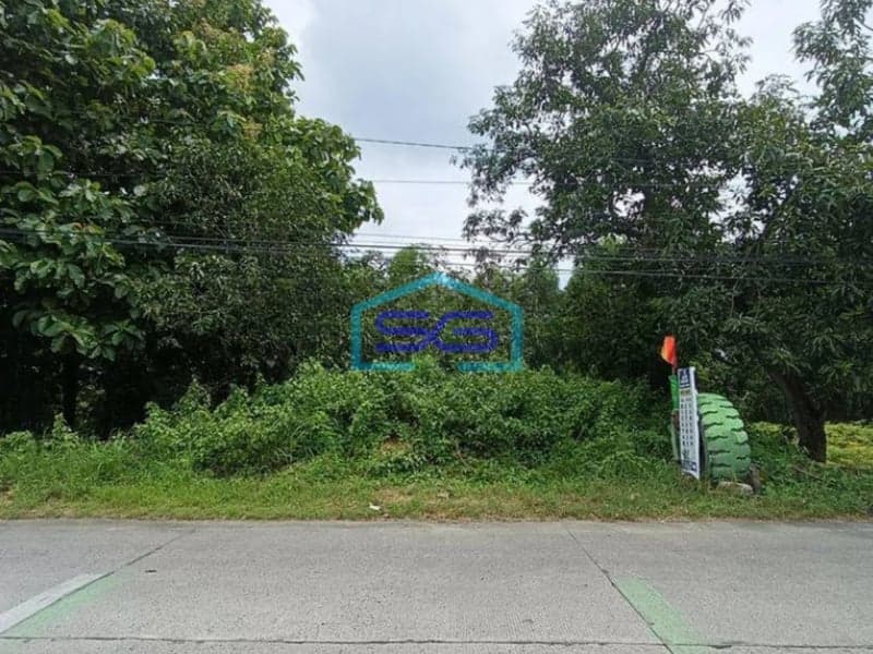 Dijual Tanah Murah Di Dawar Blandong Mojokerto LT 30000m2