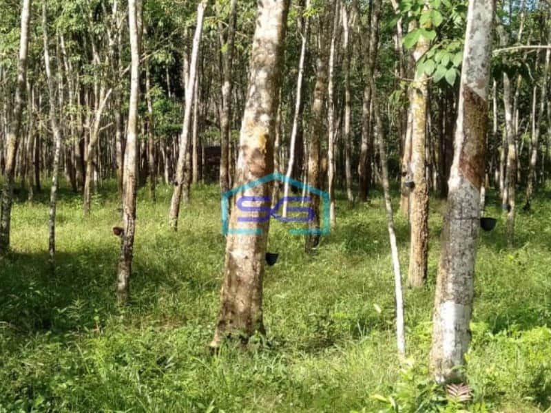 Dijual Tanah Plus 2 Unit Bangunan di Pulau Harapan Km 28 Jalan Palembang LT 17000m2