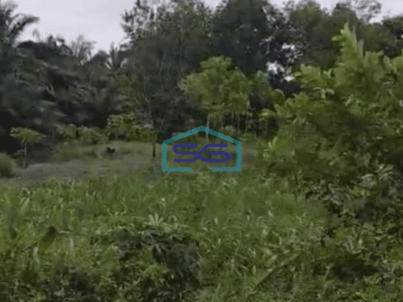 Dijual Tanah Di Siak Riau Luas Tanah 10000 m²
