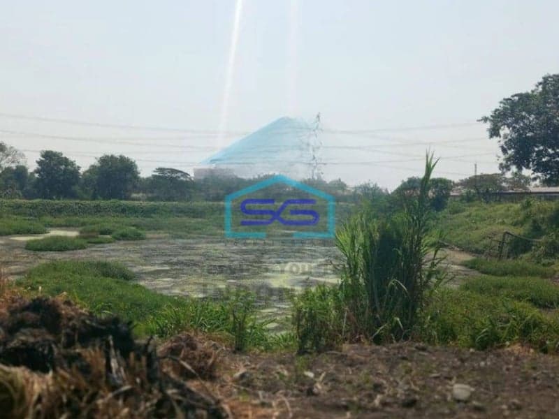 Dijual Tanah di Probolinggo LT 600000m2