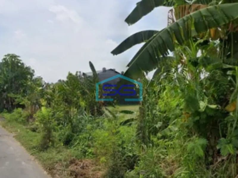 Dijual Tanah Pekarangan Di Sewon Bantul Luas Tanah 2063 m²