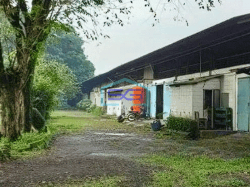 Dijual Pabrik di Cileungsi Bogor Akses Container 20 Feet Luas Bangunan 4103m2