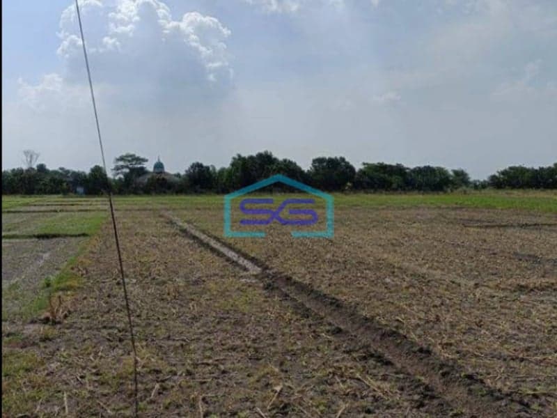 Dijual Cepat Tanah Cocok Untuk Gudang Dan Industri Betoyo Manyar Gresik LT 3926m2