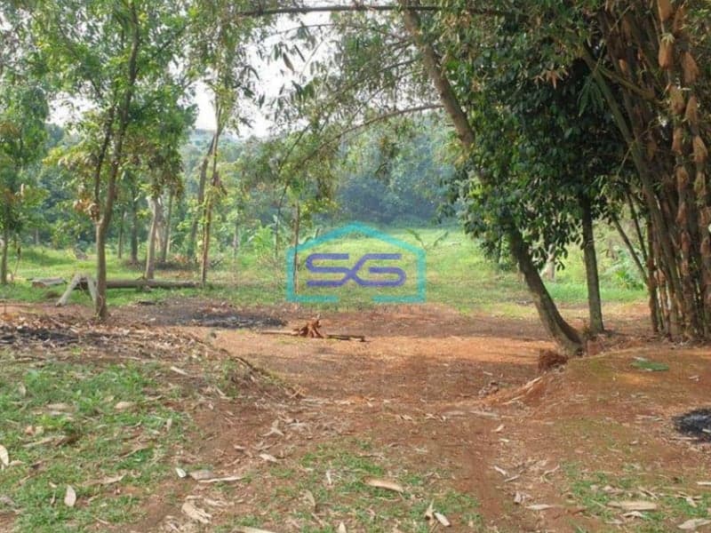 Dijual Tanah di Raya Parung Bogor Dekat Pasar Parung Dipinggir Jalan Raya SHM Luas 35000m2