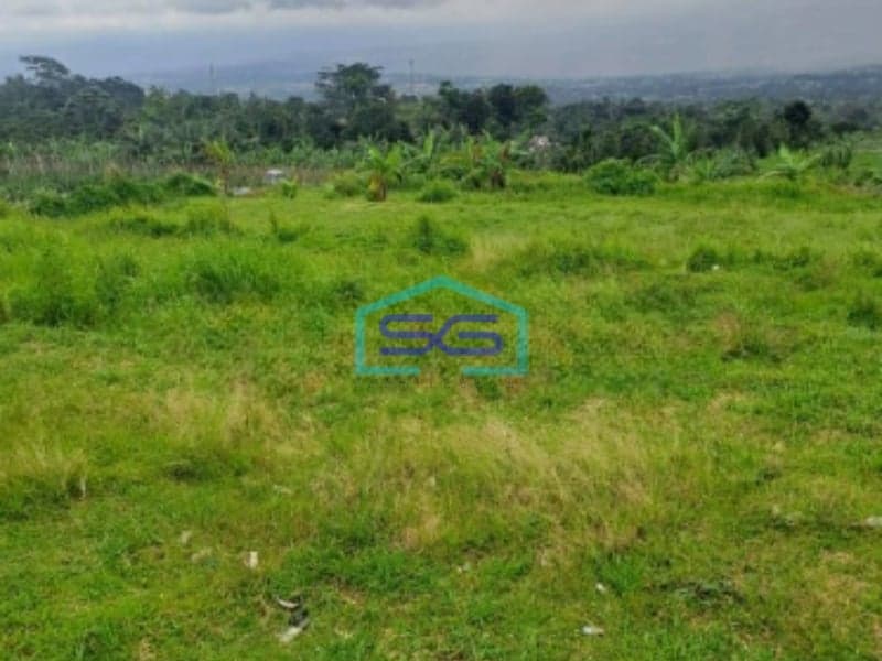 Dijual Tanah Strategis Di Jeruk Bogor Jawa Barat Luas Tanah 7000m2