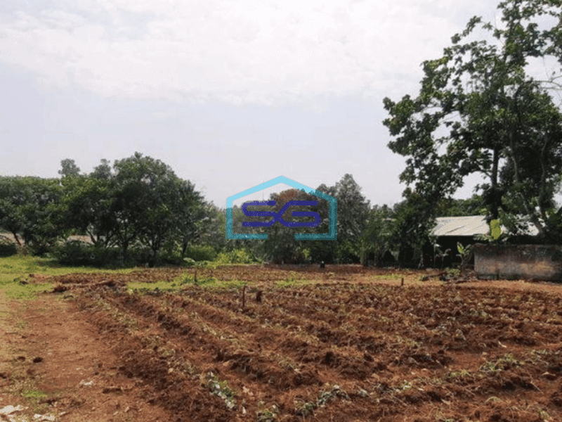 Dijual Tanah Curug Bojongsari Depok 11000 m2 Akses Mobil
