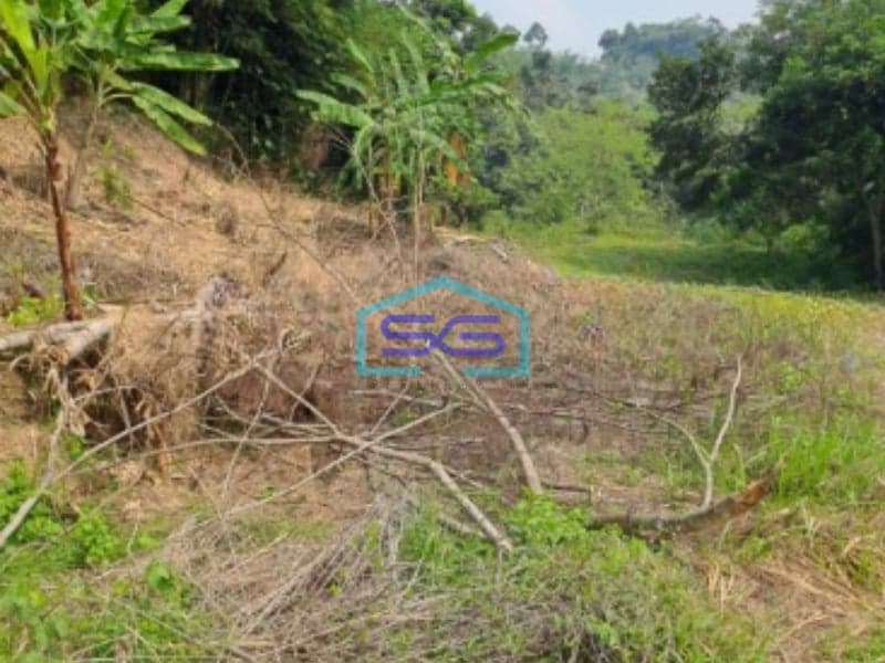 Dijual Tanah di Daerah Cibodas Rumpin Bogor Barat Luas Tanah 40000m2