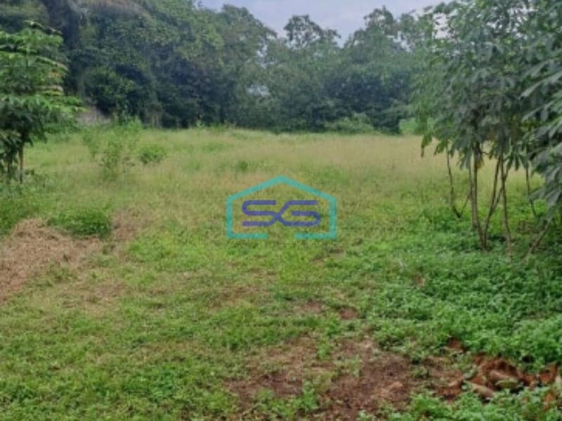 Dijual Tanah Jalan Parung Panjang Rumpin Bogor Luas Tanah 15000m2