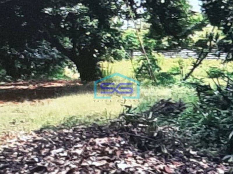 Dijual Tanah di Pinggir Jalan Bungur Raya Sukatani Cimanggis Depok LT 6305m2