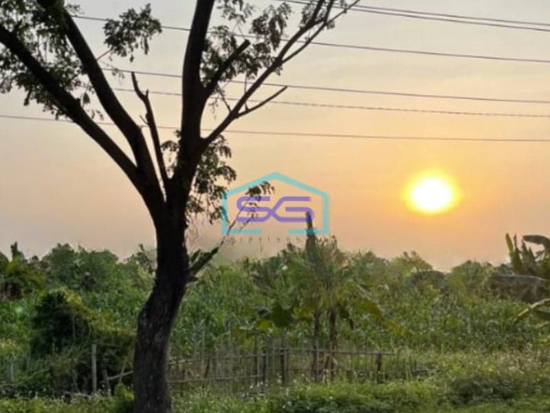 Dijual Tanah Murah Lokasi Strategis di Sayung Demak Jawa Tengah