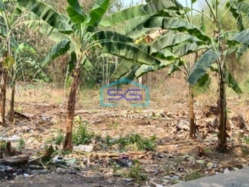 Dijual Tanah Cocok Untuk Gudang Di Cibogo Cisauk Tangerang