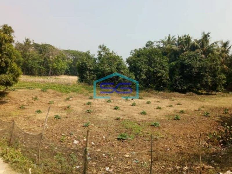 Dijual Tanah di Jalan Pakisjaya Karawang LT 4950m2