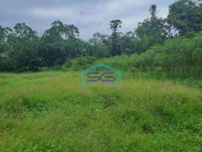 Dijual Tanah Jalan Parung Panjang Rumpin Bogor Luas Tanah 15000m2