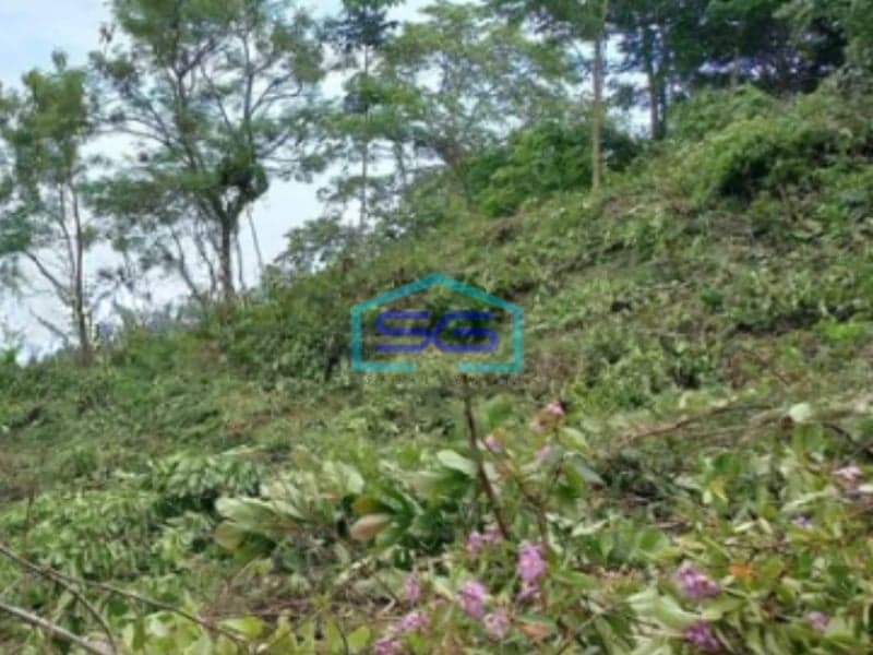 Dijual Tanah di Ciletuh Kota Sukabumi Luas Tanah 40000m2