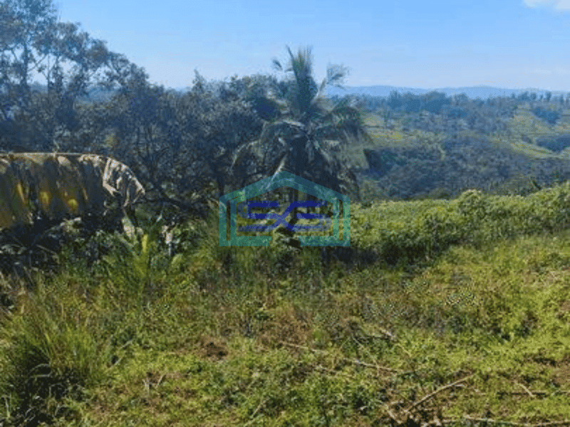 Dijual Tanah Untuk Gudang di Ginanjar Sukabumi