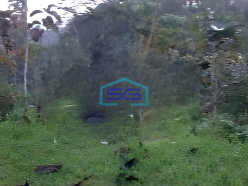 Dijual Tanah Luas 25000m2 SHM di Timbuk Tegallalang Gianyar Bali