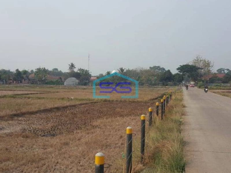 Dijual Tanah Luas 2 hektar di Ciruas Serang Lokasi Strategis Daerah Industri