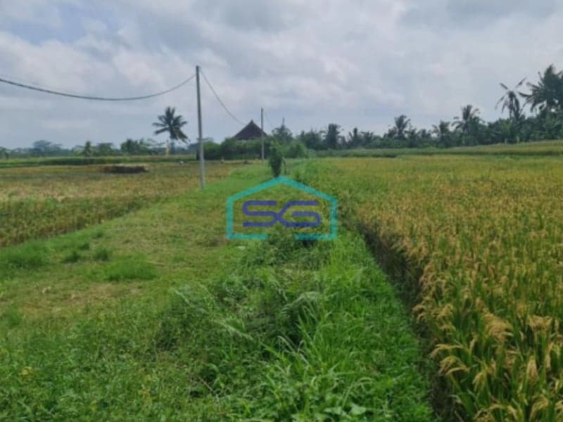 Dijual Tanah Luas Tanah 3,7 Hectare SHM Lokasi di Ubud Gianyar Bali