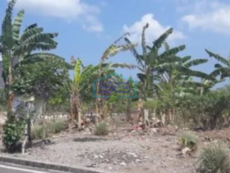 Dijual Tanah Good Spot Strategis Di Canggu Badung Bali Luas Tanah 5600m2