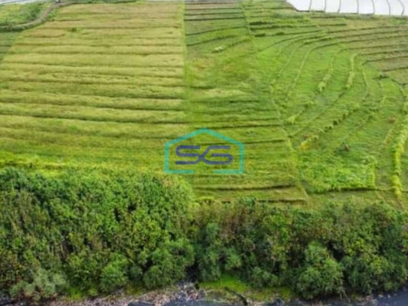 Dijual Tanah Los Pantai Beach front Pantai Kelanting Tabanan Bali Luas Tanah  7900 m²