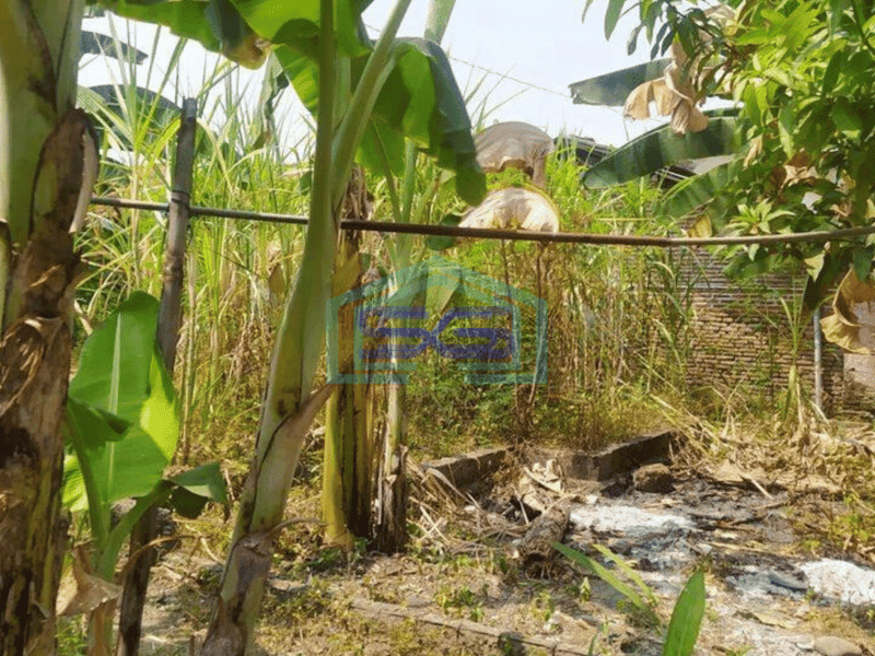 Dijual Cepat Tanah Kosong cocok untuk Gudang di Lubang Buaya Setu Kabupaten Bekasi
