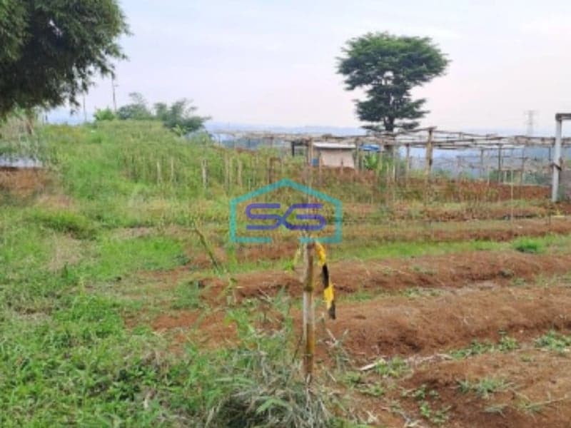 Dijual Tanah di Desa Gunung Gelis Sukaraja Bogor Luas Tanah 25000m2