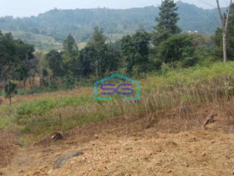 Dijual Tanah di Desa Gunung Geulis Sukaraja Bogor Luas Tanah 55000m2