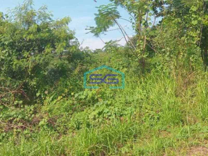 Dijual Tanah Kosong Cocok Untuk Investasi Di Cikande Serang Luas 10 Hektar