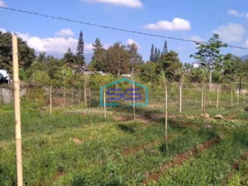 Dijual Tanah Letak Strategis di Pacet Cianjur Luas Tanah 4996m2