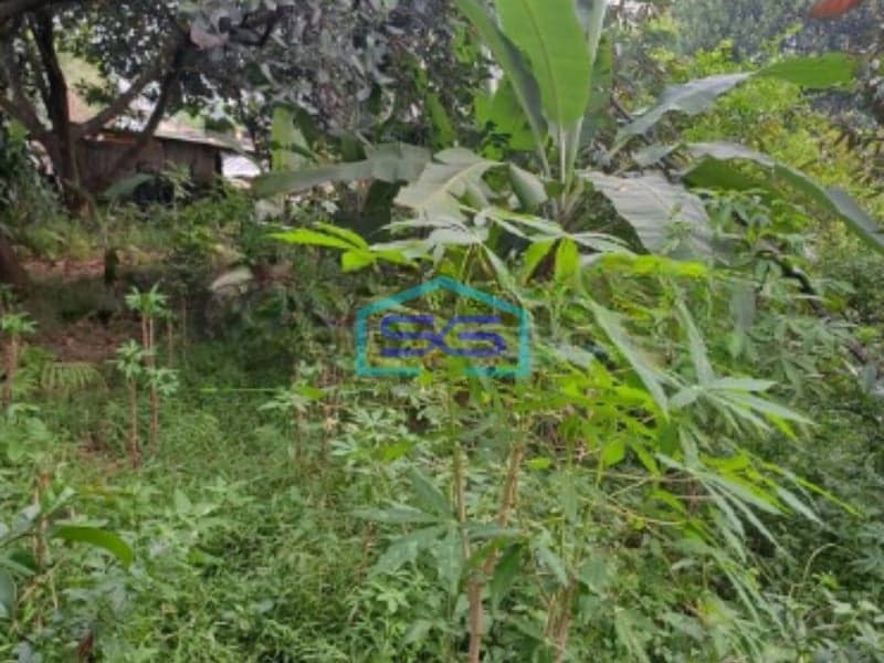 Dijual Tanah Di Cibinong Pinggir Jalan Raya Gor Pemda Bogor Luas Tanah 2500m2