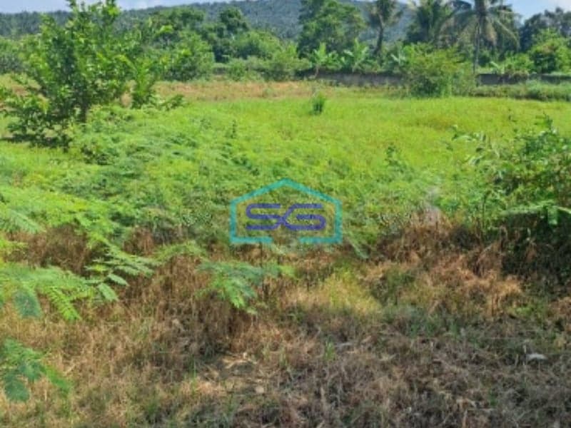 Dijual Tanah Lokasi Di Pinggiran Kota Kemang Bogor LT 120000m2