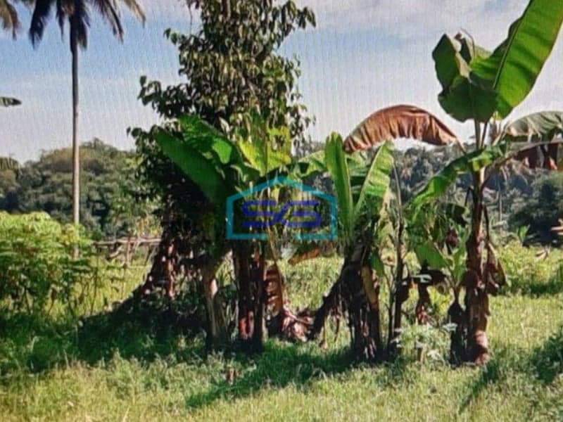 Dijual Tanah Dipinggir Jalan Sukabumi LT 19700m2