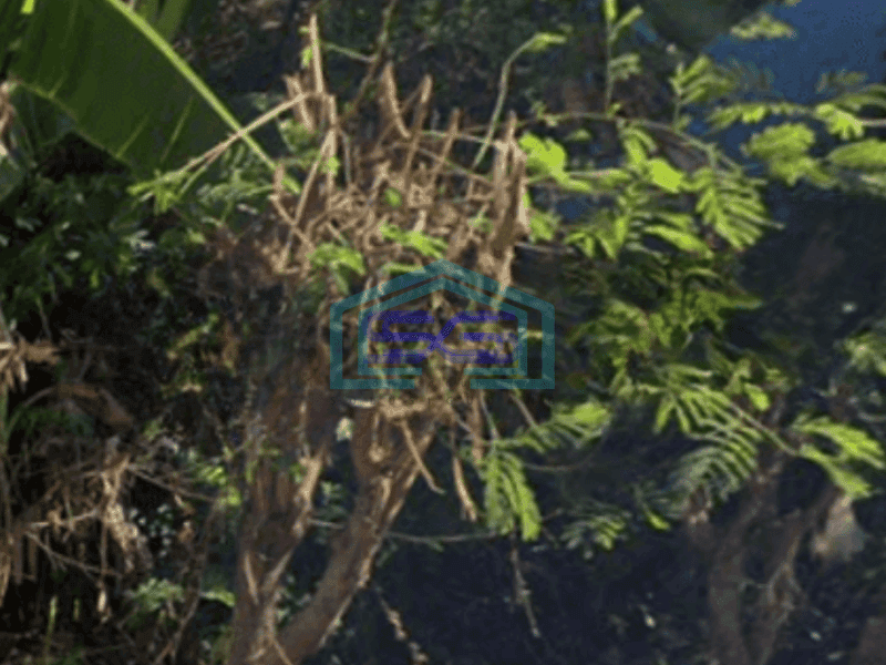 Dijual Tanah di Medokan Ayu Surabaya