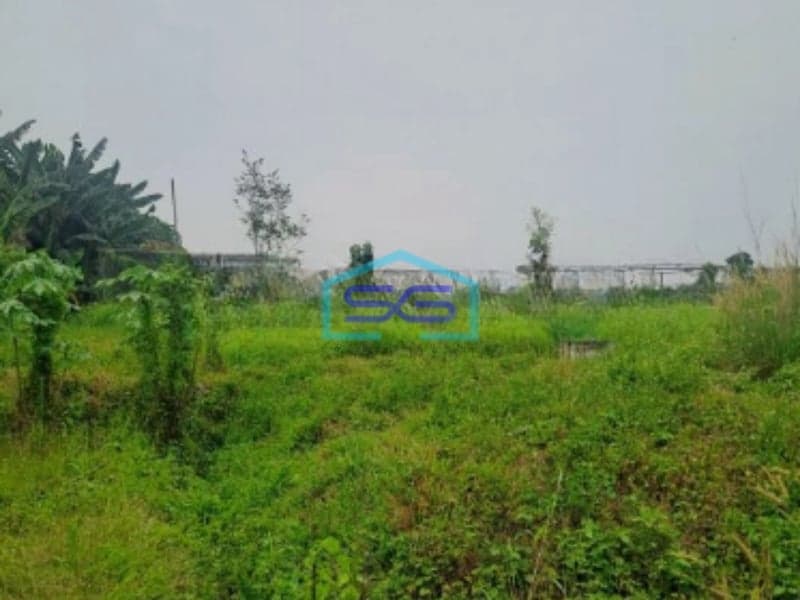 Dijual Ex Pabrik Di Kemang Bogor Luas Tanah 29000m2