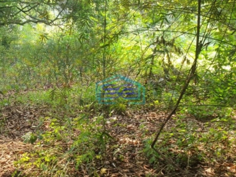 Dijual Tanah Luas 80000 m² Lokasi Bogor