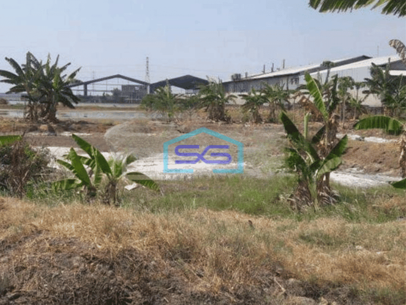 Dijual Tanah di Kaligawe Semarang LT 100000m2