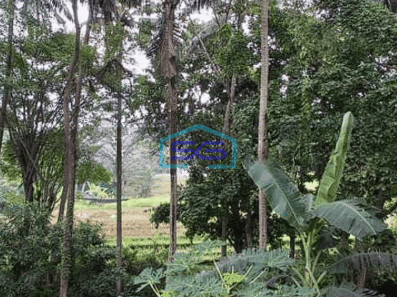 Disewakan Tanah Jalan Utama By Pass Tanah Lot Bali Mengwi, Badung Bali LT 3800m2