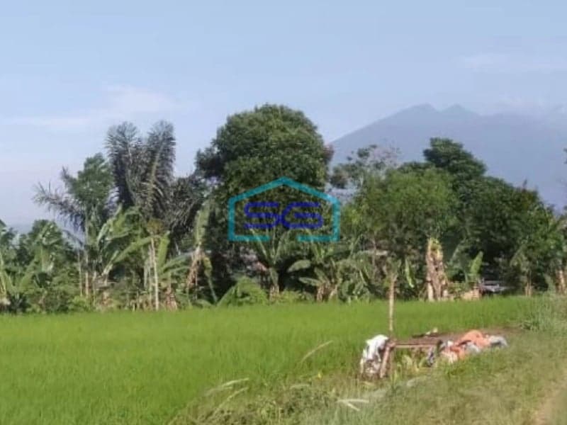 Dijual Tanah di Desa Banjarwangi Ciawi Bogor Jawa Barat Lokasi Tanah Bagus Datar LT 17000m2